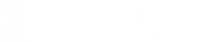 DigiLocker Logo
